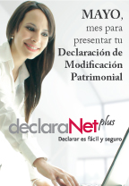 Declaracion patrimonial