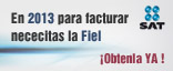 Firma Electrónica Avanzada (Fiel)
