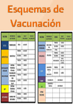 Atenci&oacute;n Ciudadana