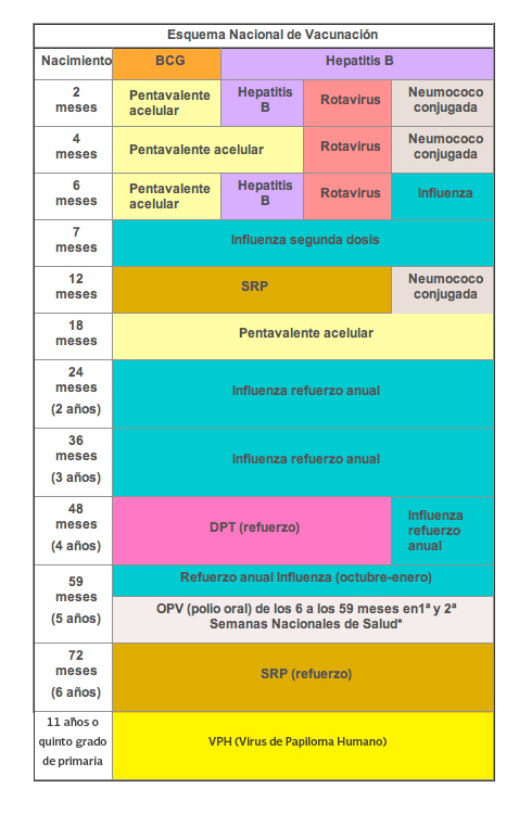 ESQUEMA SALUD esquema salud:
